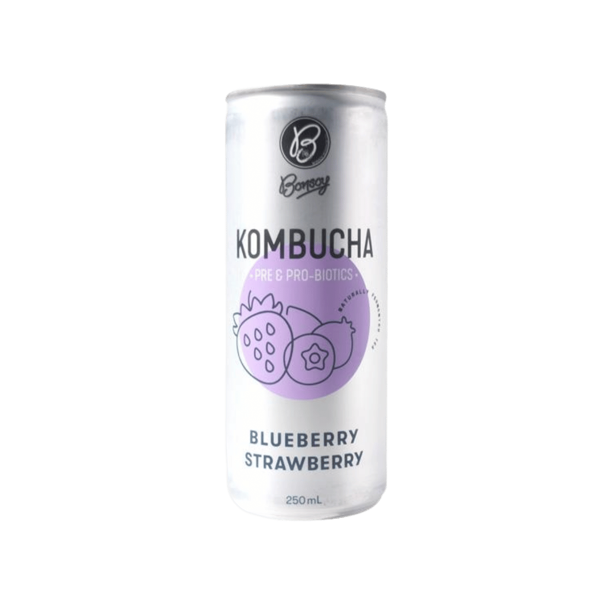 Bonsoy Kombucha Blueberry Strawberry 250ml (12 pack)
